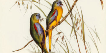 Die Kunstszene in Deutschland: Tradition und Innovation im Einklang