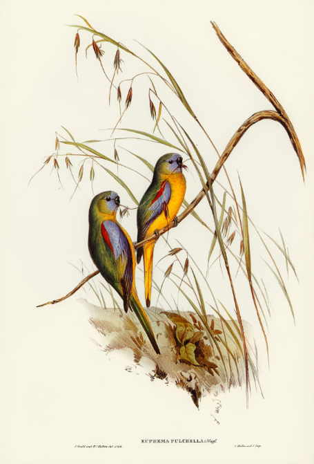 Die Kunstszene in Deutschland: Tradition und Innovation im Einklang