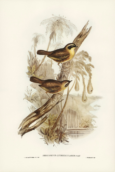 Von der Romantik bis zur Gegenwart: Die Entwicklung der deutschen Kunst